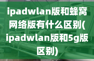 ipadwlan版和蜂窝网络版有什么区别(ipadwlan版和5g版区别)