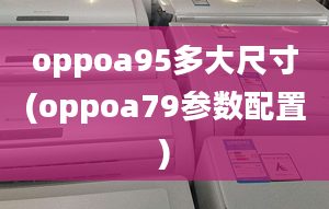 oppoa95多大尺寸(oppoa79参数配置)