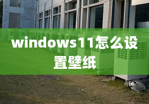 windows11怎么设置壁纸