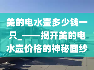 美的电水壶多少钱一只_——揭开美的电水壶价格的神秘面纱