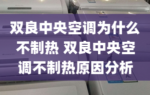 双良中央空调为什么不制热 双良中央空调不制热原因分析