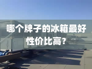 哪个牌子的冰箱最好性价比高？