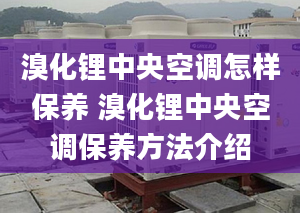 溴化锂中央空调怎样保养 溴化锂中央空调保养方法介绍