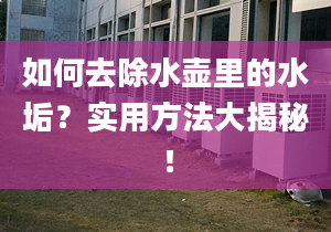 如何去除水壶里的水垢？实用方法大揭秘！