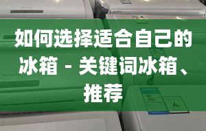 如何选择适合自己的冰箱 - 关键词冰箱、推荐