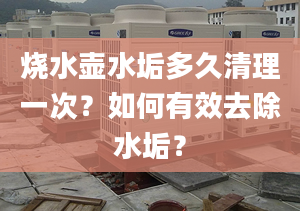 烧水壶水垢多久清理一次？如何有效去除水垢？