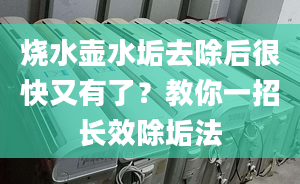 烧水壶水垢去除后很快又有了？教你一招长效除垢法