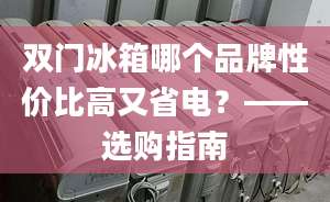 双门冰箱哪个品牌性价比高又省电？——选购指南