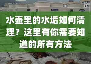 水壶里的水垢如何清理？这里有你需要知道的所有方法