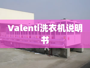 Valenti洗衣机说明书