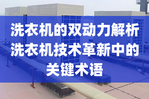 洗衣机的双动力解析洗衣机技术革新中的关键术语