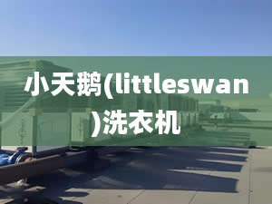 小天鹅(littleswan)洗衣机