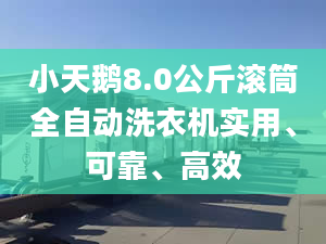 小天鹅8.0公斤滚筒全自动洗衣机实用、可靠、高效