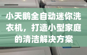 小天鹅全自动迷你洗衣机，打造小型家庭的清洁解决方案