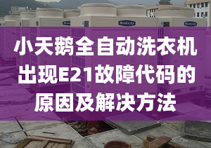 小天鹅全自动洗衣机出现E21故障代码的原因及解决方法