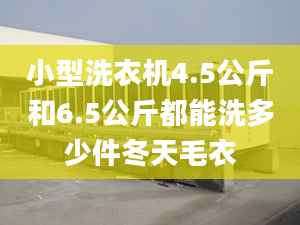 小型洗衣机4.5公斤和6.5公斤都能洗多少件冬天毛衣