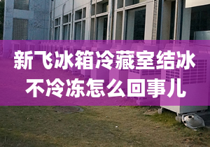 新飞冰箱冷藏室结冰不冷冻怎么回事儿