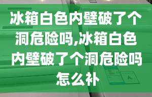 冰箱白色内壁破了个洞危险吗,冰箱白色内壁破了个洞危险吗 怎么补