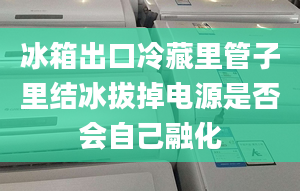 冰箱出口冷藏里管子里结冰拔掉电源是否会自己融化