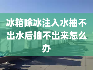 冰箱除冰注入水抽不出水后抽不出来怎么办