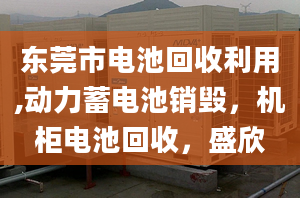 东莞市电池回收利用,动力蓄电池销毁，机柜电池回收，盛欣