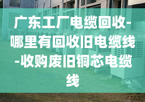 广东工厂电缆回收-哪里有回收旧电缆线-收购废旧铜芯电缆线