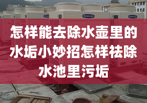 怎样能去除水壶里的水垢小妙招怎样祛除水池里污垢