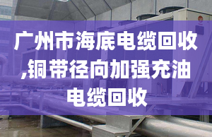 广州市海底电缆回收,铜带径向加强充油电缆回收