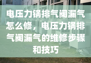 电压力锅排气阀漏气怎么修，电压力锅排气阀漏气的维修步骤和技巧