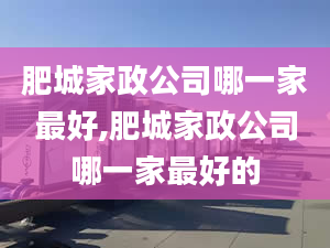 肥城家政公司哪一家最好,肥城家政公司哪一家最好的