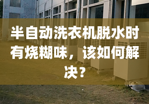 半自动洗衣机脱水时有烧糊味，该如何解决？