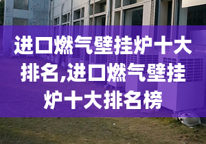 进口燃气壁挂炉十大排名,进口燃气壁挂炉十大排名榜