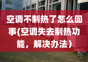 空调不制热了怎么回事(空调失去制热功能，解决办法）