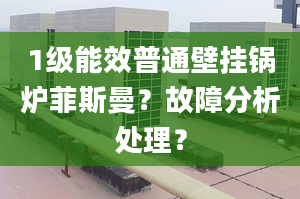 1级能效普通壁挂锅炉菲斯曼？故障分析处理？