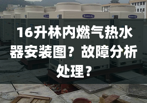 16升林内燃气热水器安装图？故障分析处理？