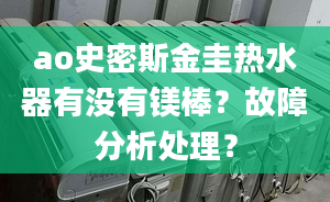 ao史密斯金圭热水器有没有镁棒？故障分析处理？