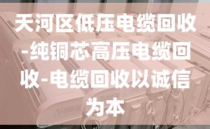 天河区低压电缆回收-纯铜芯高压电缆回收-电缆回收以诚信为本