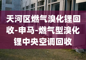 天河区燃气溴化锂回收-申马-燃气型溴化锂中央空调回收