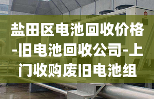 盐田区电池回收价格-旧电池回收公司-上门收购废旧电池组