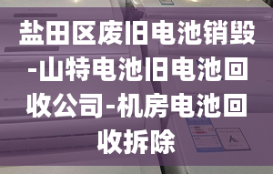 盐田区废旧电池销毁-山特电池旧电池回收公司-机房电池回收拆除