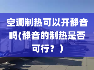 空调制热可以开静音吗(静音的制热是否可行？）