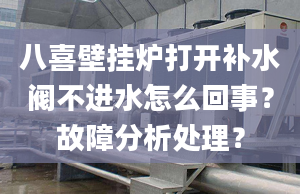 八喜壁挂炉打开补水阀不进水怎么回事？故障分析处理？