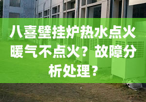 八喜壁挂炉热水点火暖气不点火？故障分析处理？