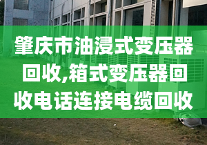 肇庆市油浸式变压器回收,箱式变压器回收电话连接电缆回收