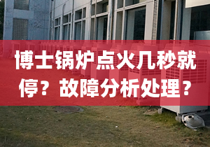 博士锅炉点火几秒就停？故障分析处理？