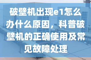 破壁机出现e1怎么办什么原因，科普破壁机的正确使用及常见故障处理