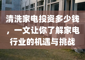 清洗家电投资多少钱，一文让你了解家电行业的机遇与挑战