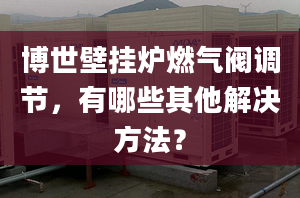 博世壁挂炉燃气阀调节，有哪些其他解决方法？