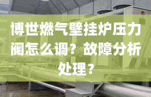 博世燃气壁挂炉压力阀怎么调？故障分析处理？