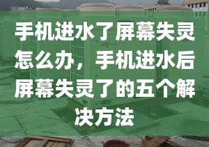 手机进水了屏幕失灵怎么办，手机进水后屏幕失灵了的五个解决方法